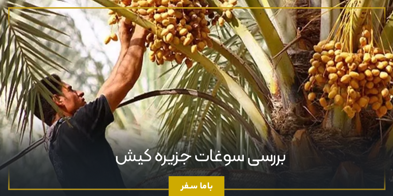 بررسی سوغات جزیره کیش