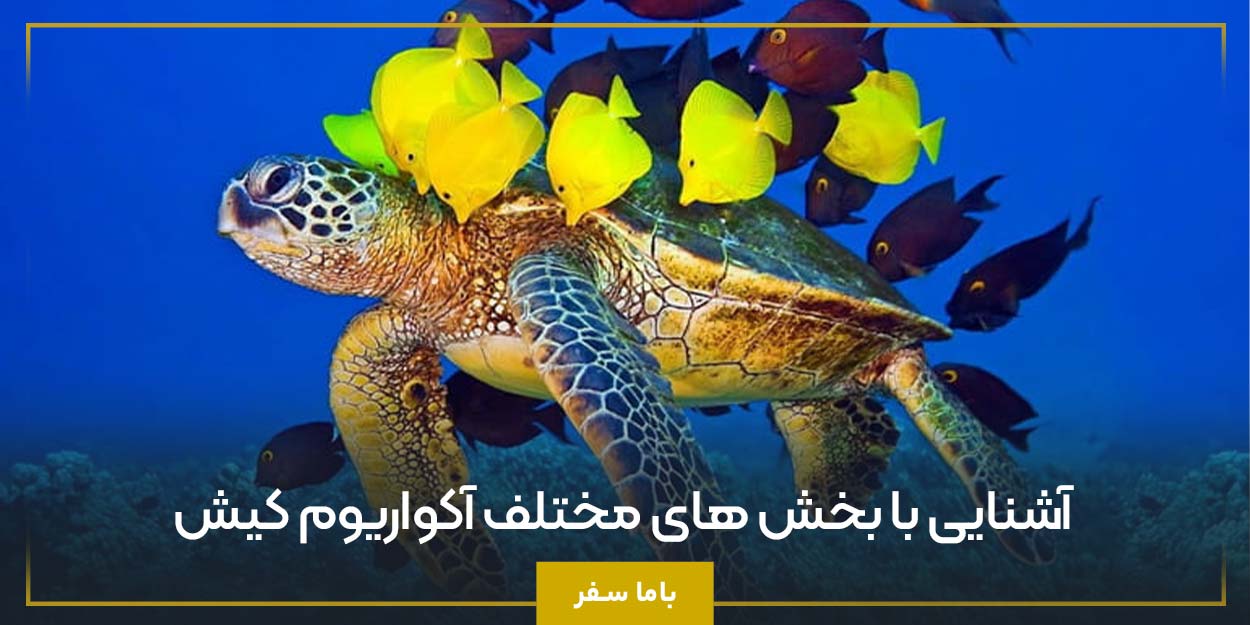 آشنایی با بخش‌ های مختلف آکواریوم کیش