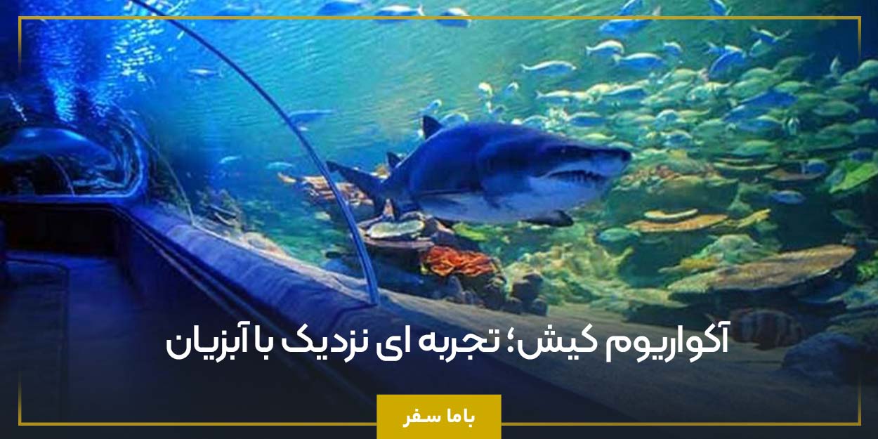 آکواریوم کیش؛ تجربه ‌ای نزدیک با آبزیان
