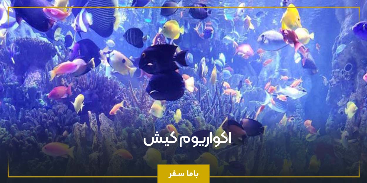 اکواریوم کیش